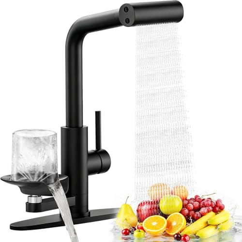 Kitchen Faucet with Glass Rinser