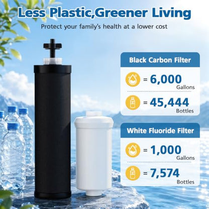 Water Filter Replacement