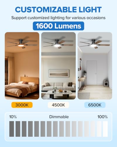 Ceiling Fans with Lights