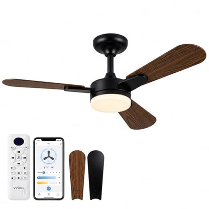 Ceiling Fans with Lights