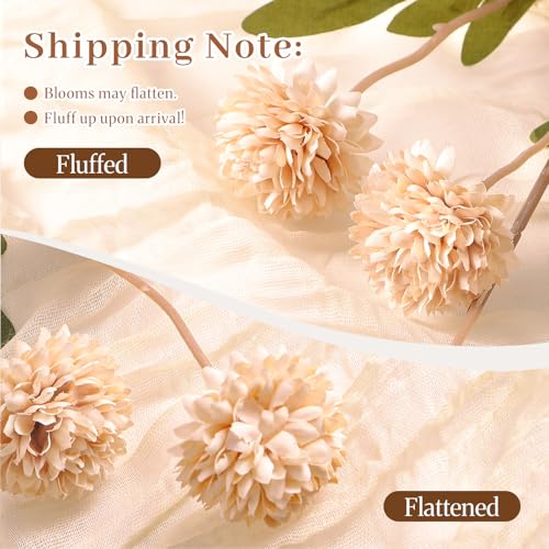 32 Pcs Beige Faux Silk Mums (Beige)