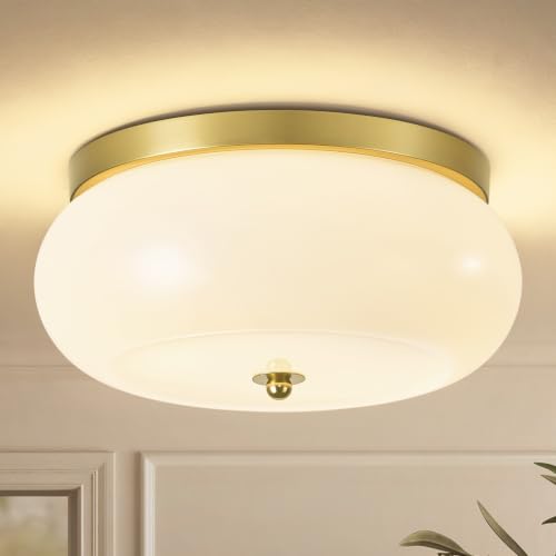 Modern Ceiling Light
