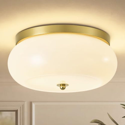 Modern Ceiling Light