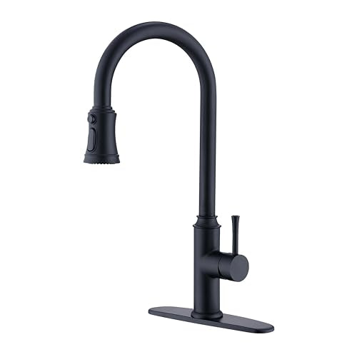 Kitchen Faucet with Pull Down Sprayer