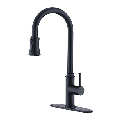 Kitchen Faucet with Pull Down Sprayer