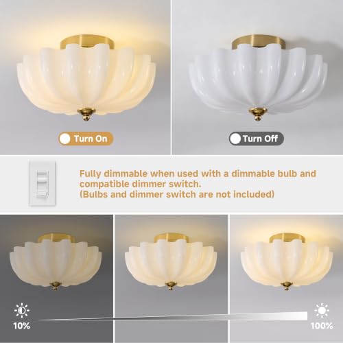 Milk Glass Schoolhouse Ceiling Light