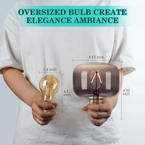 Large Decorative LED Edison Light Bulb