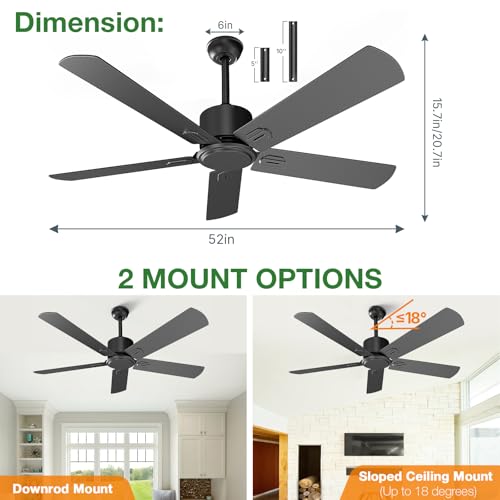 Black Ceiling Fan
