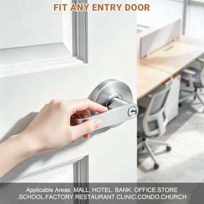 Commercial Door Handle
