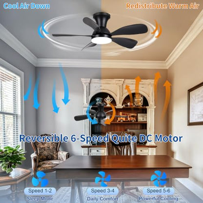 Ceiling Fan for Bedroom