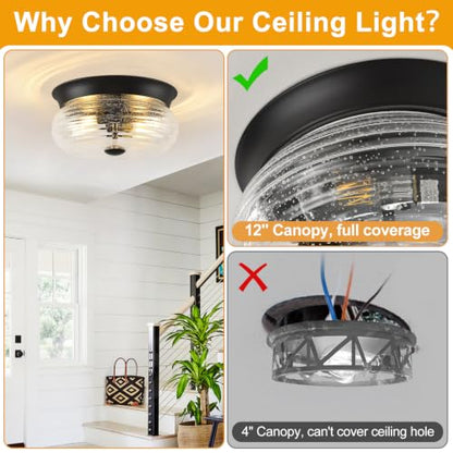 Flush Mount Ceiling Light Fixtures