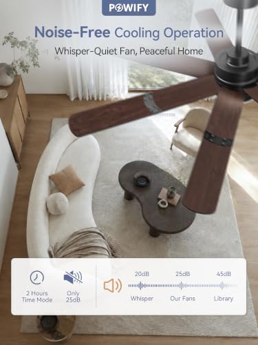 Ceiling Fans with Lights