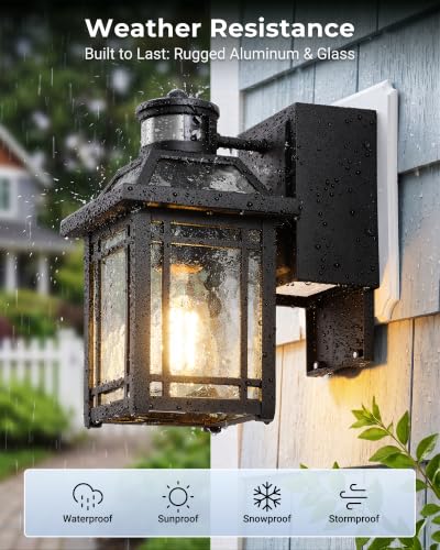 V81624SP Outdoor wall Light