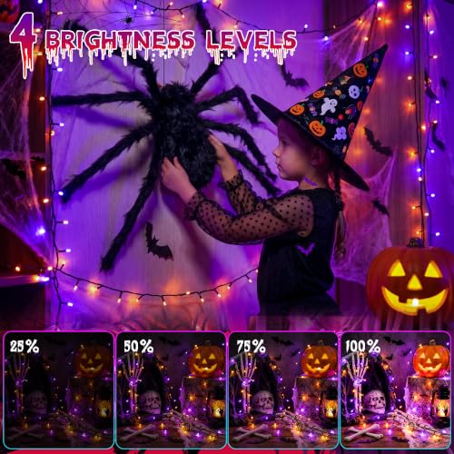 Orange Purple Halloween Lights