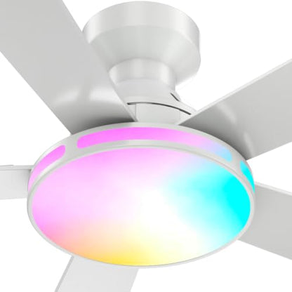 Ceiling Fans with Lights