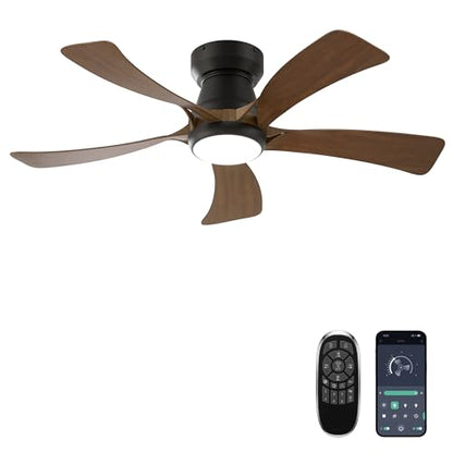 Ceiling Fans with Lights