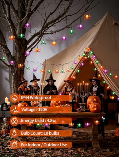 8.5Ft Halloween Outdoor Spider String Light (Spider)