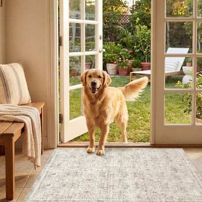 2x3 Area Rugs (Beige / 2' x 3' (Rectangular))