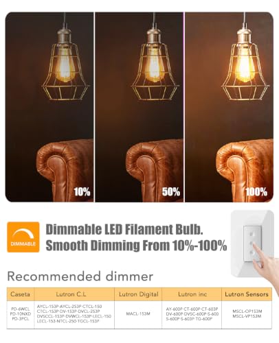 ST19 Vintage LED Edison Light Bulbs