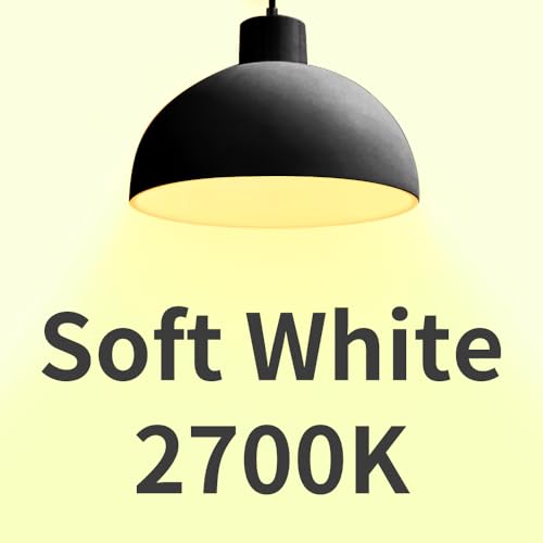A19 LED Light Bulbs