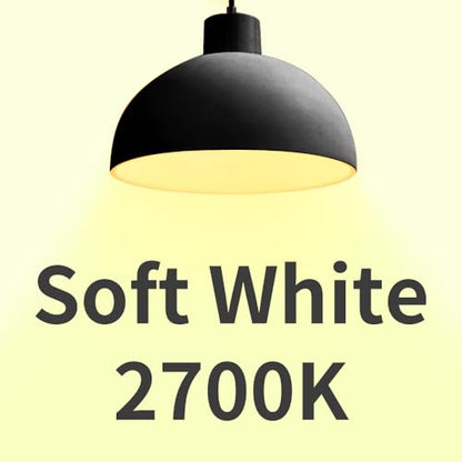 A19 LED Light Bulbs