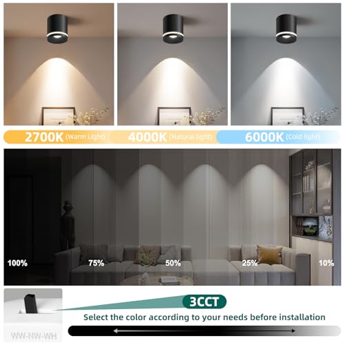 Ceiling Light Fixtures for Hallway Kitchen Entryway