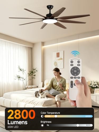 72 Inch Ceiling Fans