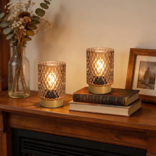Battery Operated Lamp