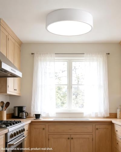 LED Ceiling Light