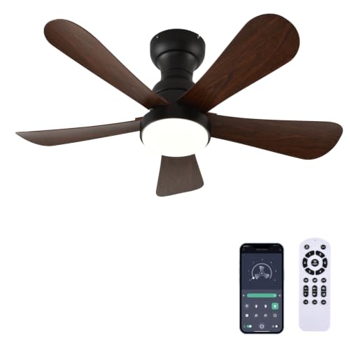 Ceiling Fans with Lights