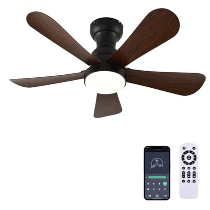 Ceiling Fans with Lights