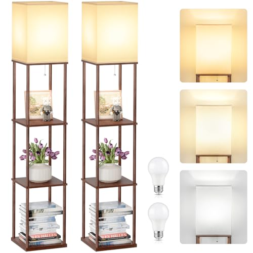 2 Pack Shelf Floor lamp