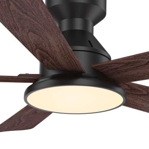 Ceiling Fans with Lights
