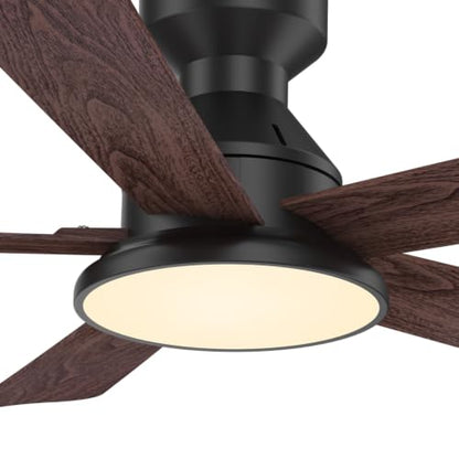 Ceiling Fans with Lights