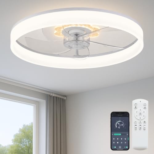 Ceiling Fan with Light and Remote
