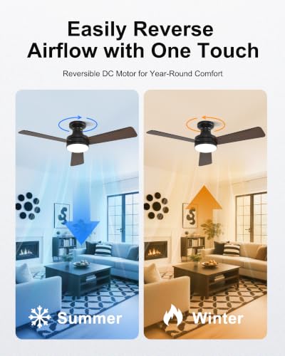 Smart RGB Ceiling Fans with Lights