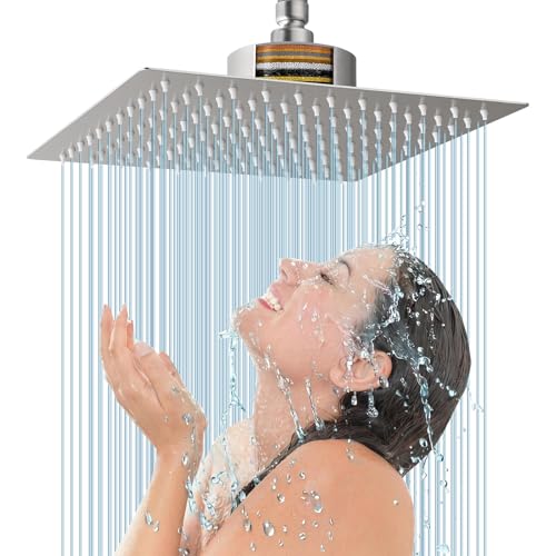 Rain Shower Head with Filtered