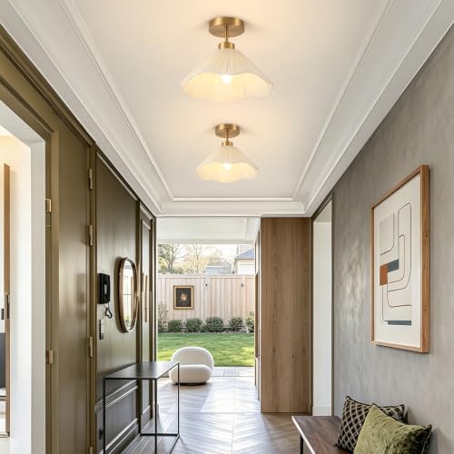 Semi Flush Mount Ceiling Light