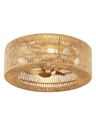 Rattan fandelier Ceiling Fans with Lights