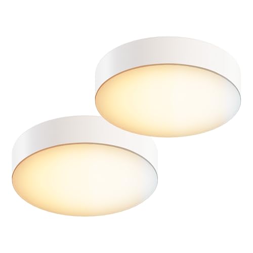 5 Inch Edgeless Surface Mount LED Ceiling Light