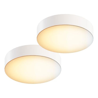 5 Inch Edgeless Surface Mount LED Ceiling Light