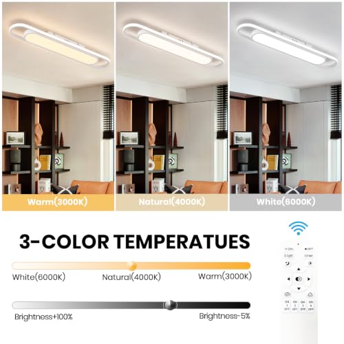 Modern LED Ceiling Light