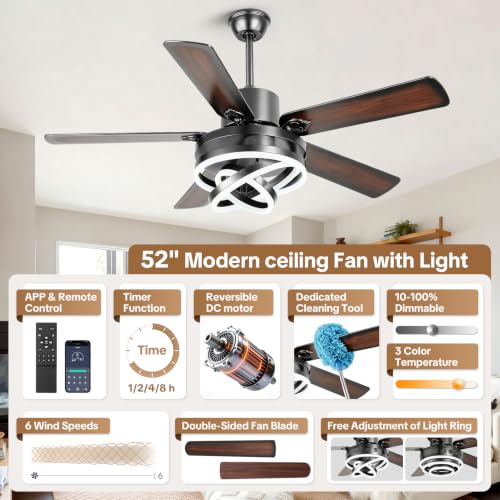 Ceiling Fans with Lights