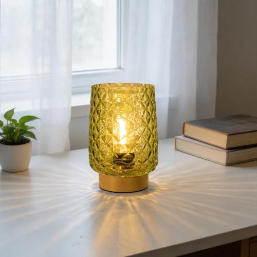 Battery Operated Lamp