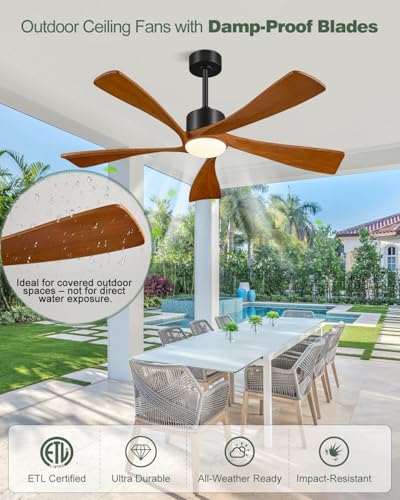 Smart Ceiling Fans with Lights