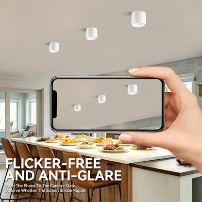 Flush Mount Dimmable Outdoor Ceiling Light Fixture