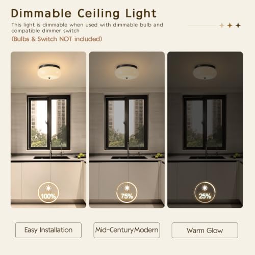 Modern Ceiling Light