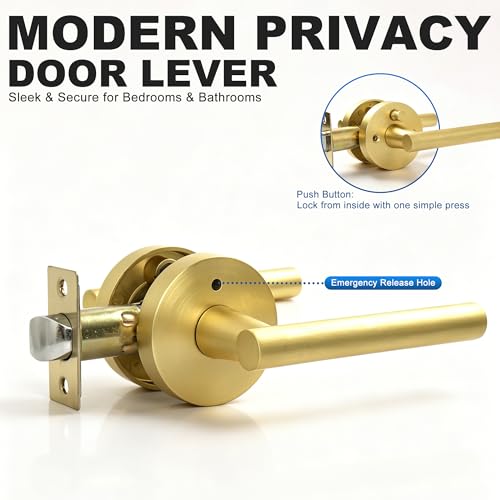 Privacy Door Handle with Lock (Matte Gold)