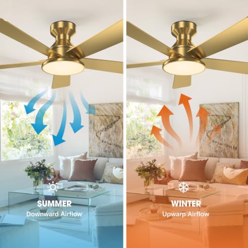 Ceiling Fans with Lights