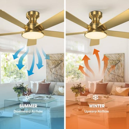 Ceiling Fans with Lights